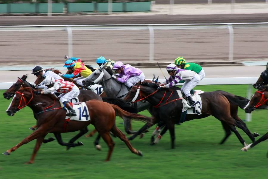 
                                                                        🌿香港 機加酒🌿
                                                                        
