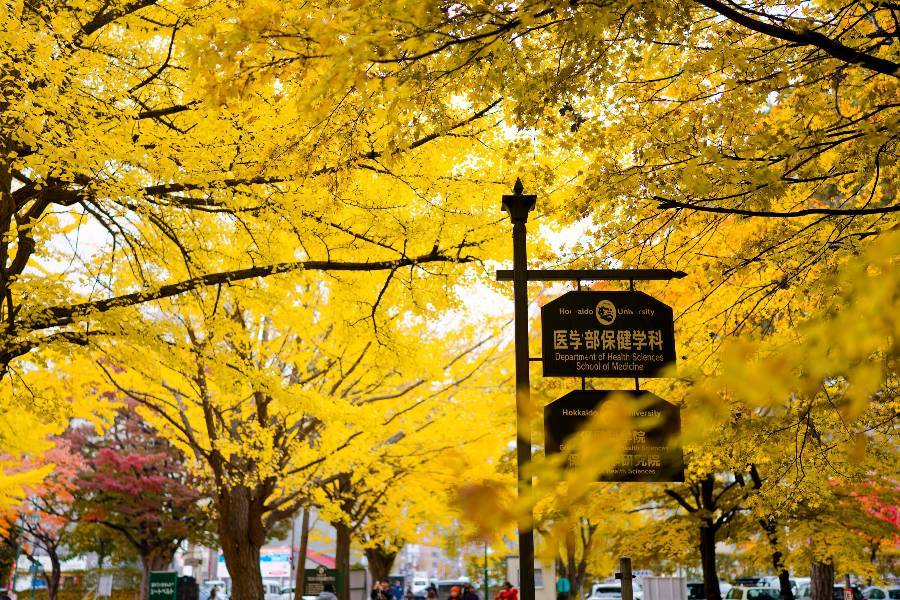 
                                                                        🌿札幌 機加酒🌿
                                                                        