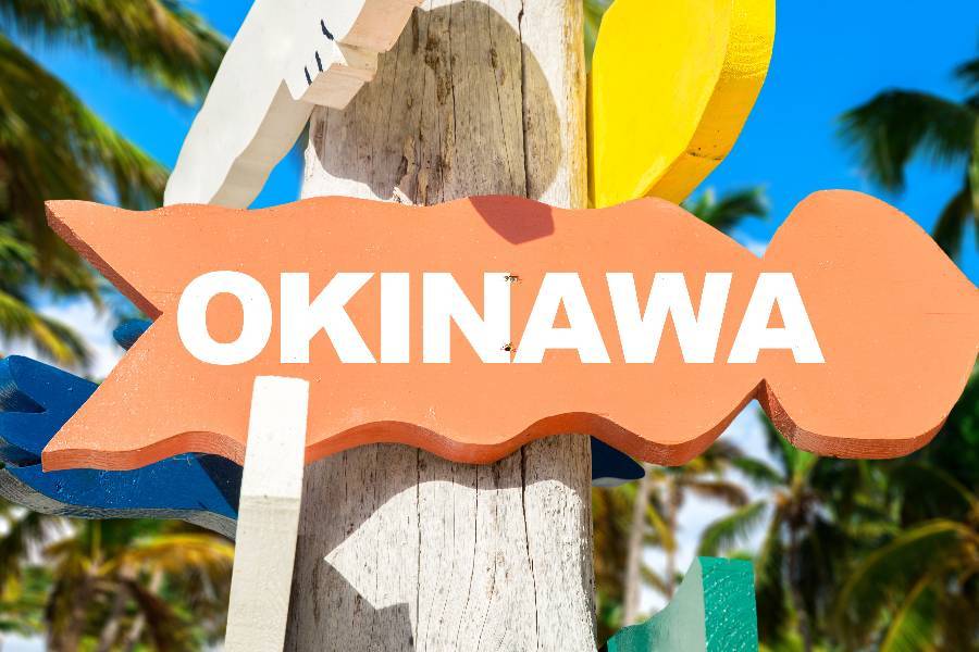 
                                                                        🌿沖繩 機加酒🌿
                                                                        