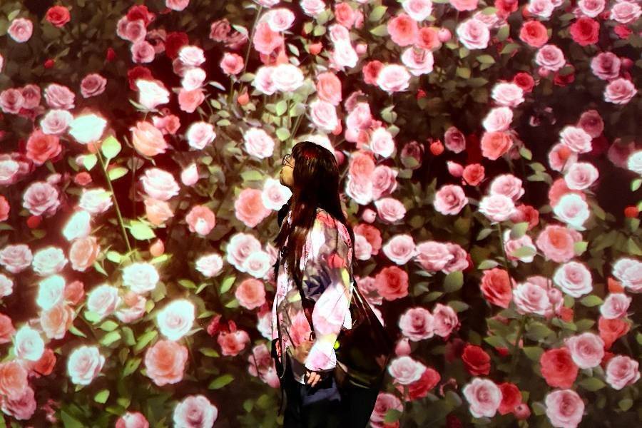 
                                                                        Arte Museum光影藝術展
                                                                        