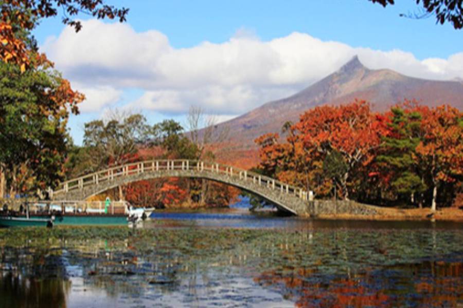 
                                                                        大沼國立公園
                                                                        