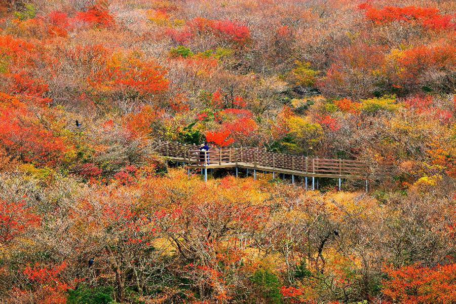 
                                                                        漢拏山國立公園
                                                                        