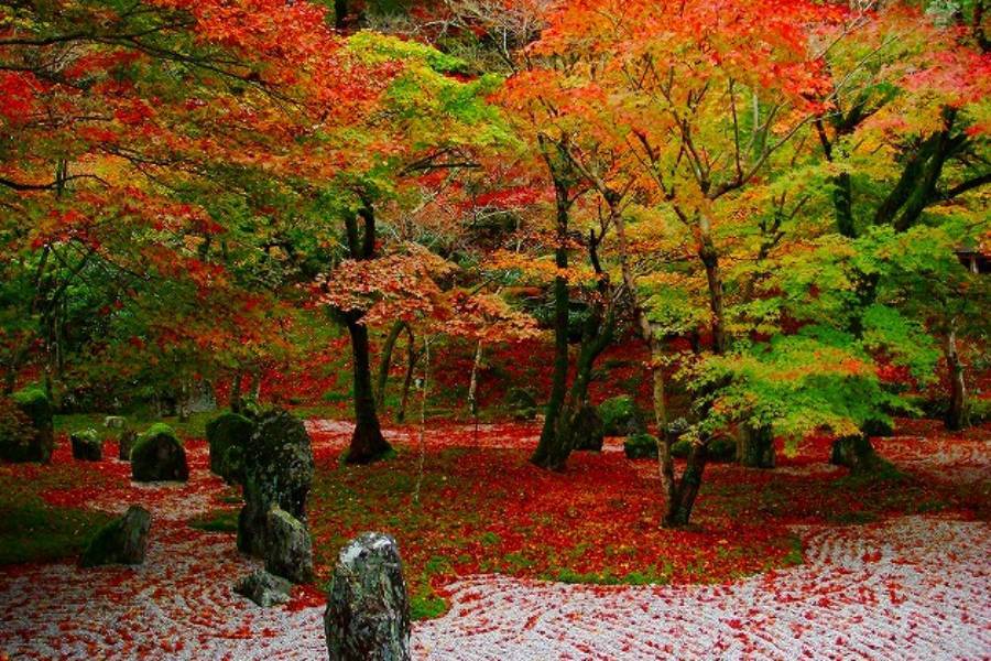 
                                                                        光明禪寺
                                                                        