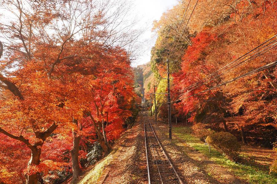 
                                                                        高尾山
                                                                        