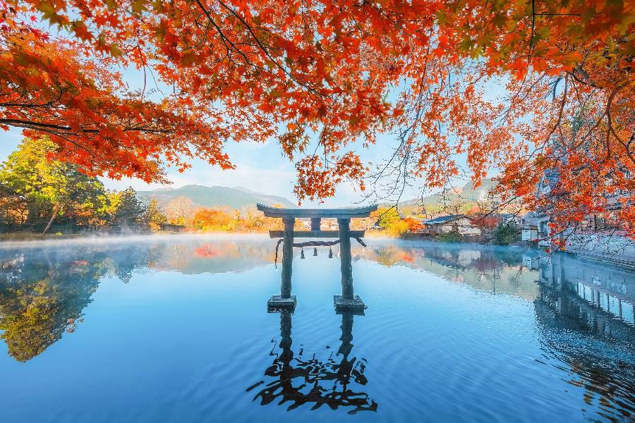 
                                                                        金鱗湖
                                                                        