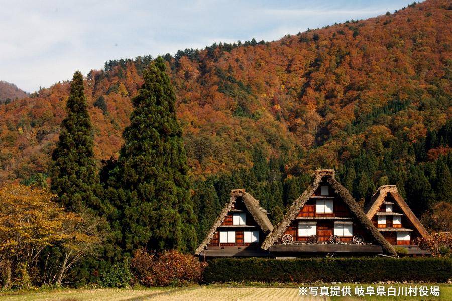 
                                                                        白川鄉合掌村
                                                                        