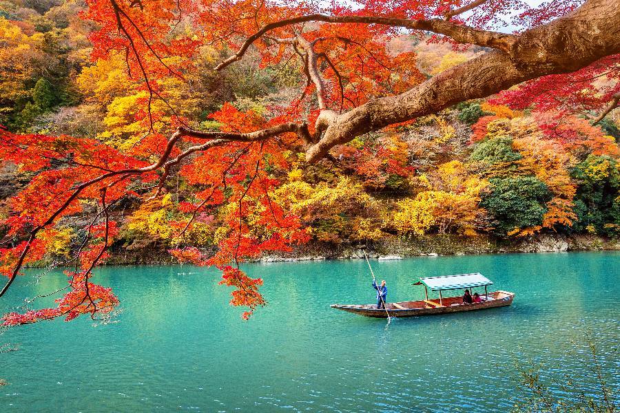 
                                                                        嵐山
                                                                        