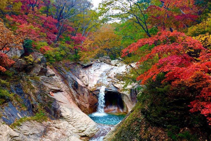 
                                                                        雪嶽山
                                                                        