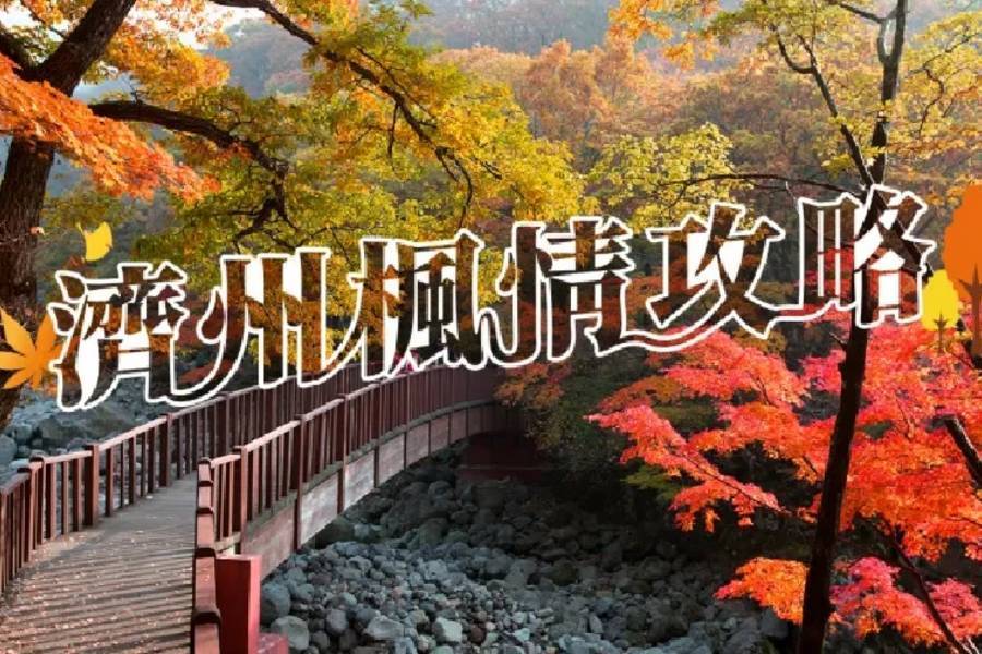 
                                                                        韓國秋賞楓前進濟州島！2026楓紅景點全攻略
                                                                        