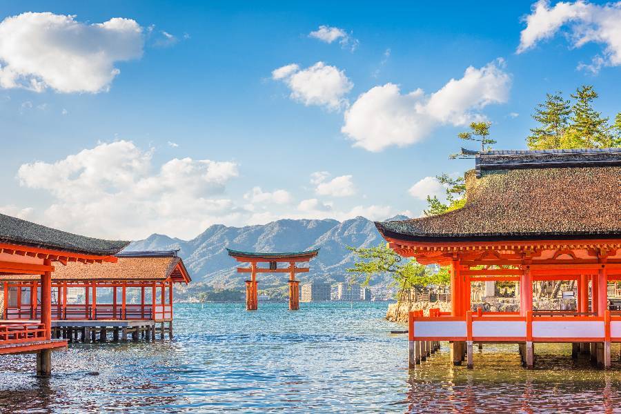 
                                                                        ⋆ ｡廣島 機+酒｡ ⋆
                                                                        