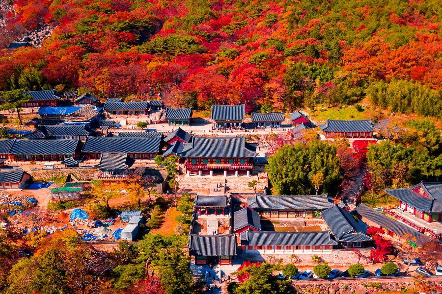 
                                                                        ⋆｡釜山 機+酒｡ ⋆
                                                                        