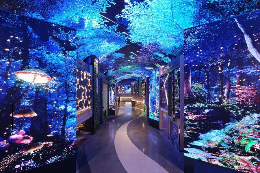 
                                                                        旅展限定～韓國歐洲童話村&傳統韓屋.玻璃展望台空中咖啡廳.極光道4日
                                                                        