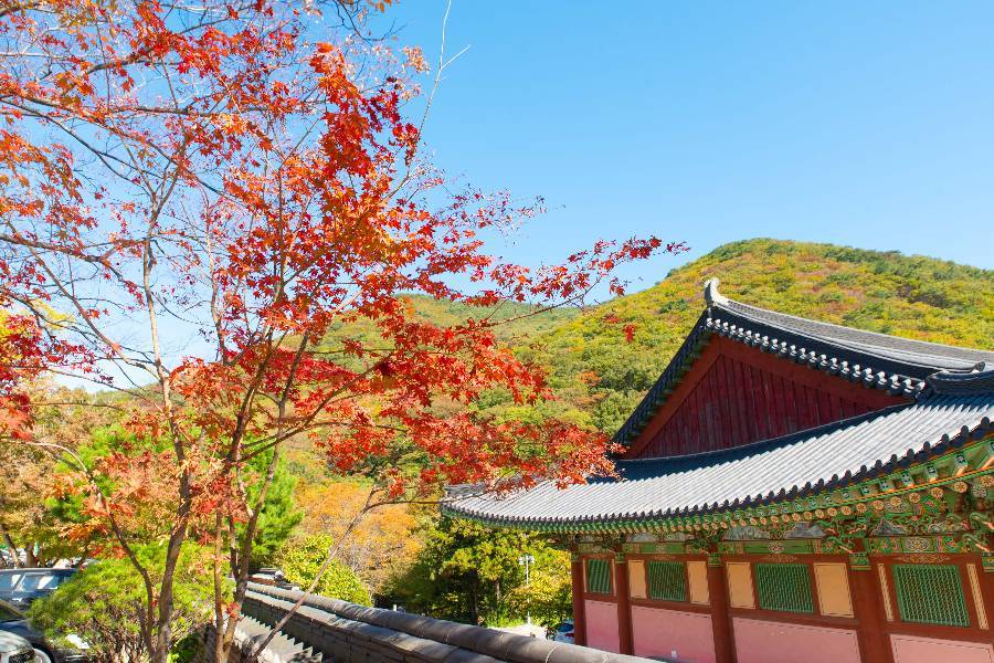 
                                                                        釜山
                                                                        