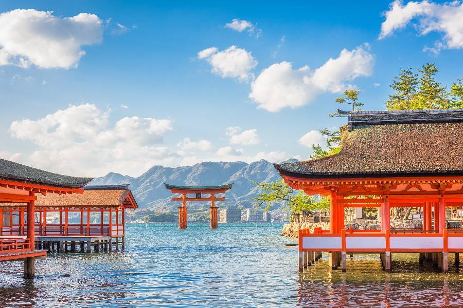 日本機+酒➕ 💳 實體SIM卡