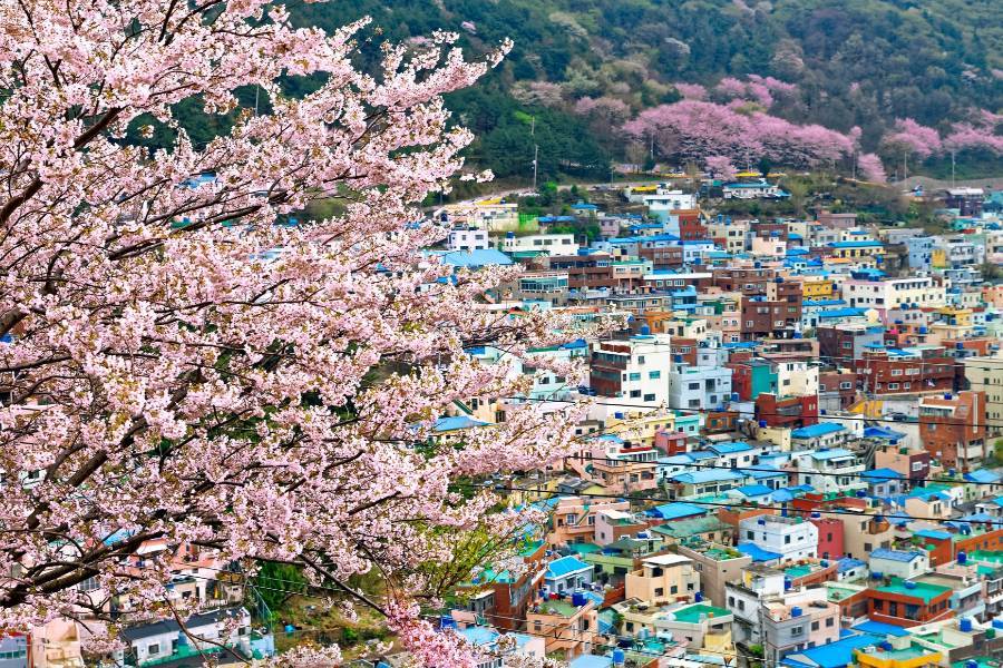釜山 機+酒