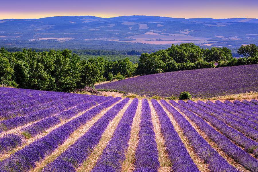 
                                                                        【Chill南法】普羅旺斯山城．卡爾卡頌城堡．TGV．米推饗宴10日
                                                                        