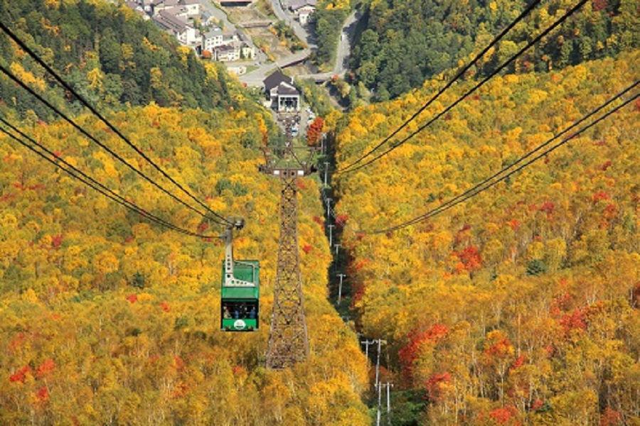 
                                                                                                        【典藏北海道之紅葉雙雲海】黑岳纜車、屈斜路雲海、星野度假村、三大蟹五日
                                                                                                        