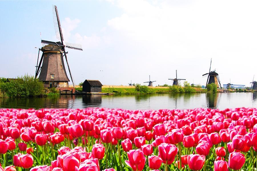 
                                                                        荷蘭庫肯霍夫鬱金香花園
                                                                        