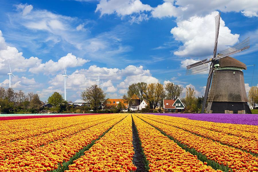 
                                                                                                        【聰明玩家】法比荷｜庫肯霍夫花園、聖米歇爾山、巴黎雙宮、市區飯店12日
                                                                                                        