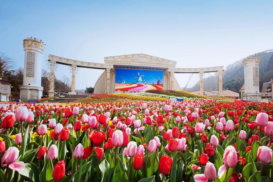 
                                                                        【繽紛韓國】升等明洞、愛寶樂園、戀歌南怡島、變裝遊古宮、現代百貨5日
                                                                        