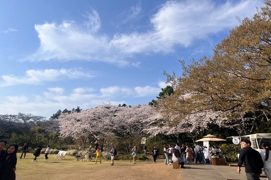 
                                                                                                        海洋濟州～升等市區、嚕嚕米樂園、森林小火車、噢雪綠茶園、烤肉吃到飽5日
                                                                                                        