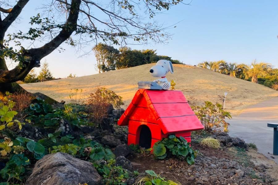 
                                                                                                        【濟州好好玩】史努比&小熊軟糖、山茶花之丘、足浴體驗、探訪海女村5日
                                                                                                        