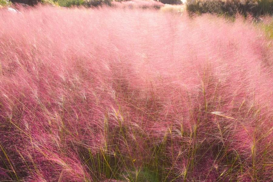 
                                                                                                        【濟州樂翻天】探訪海女村、HighBall體驗、夢幻奇蹟島、泰迪熊5日
                                                                                                        