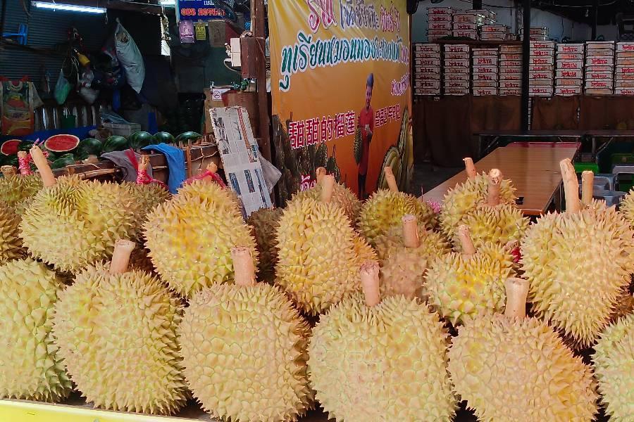 行程特色圖片