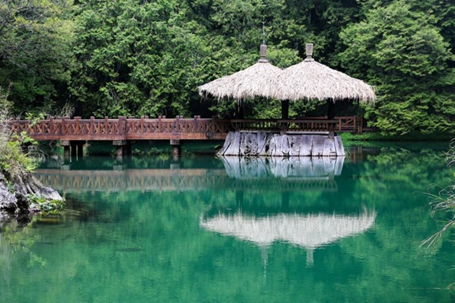 
                                                                                                        【迷你團】苗栗銅鑼茶廠、日月潭遊湖、奮起湖阿里山森情美食二日
                                                                                                        