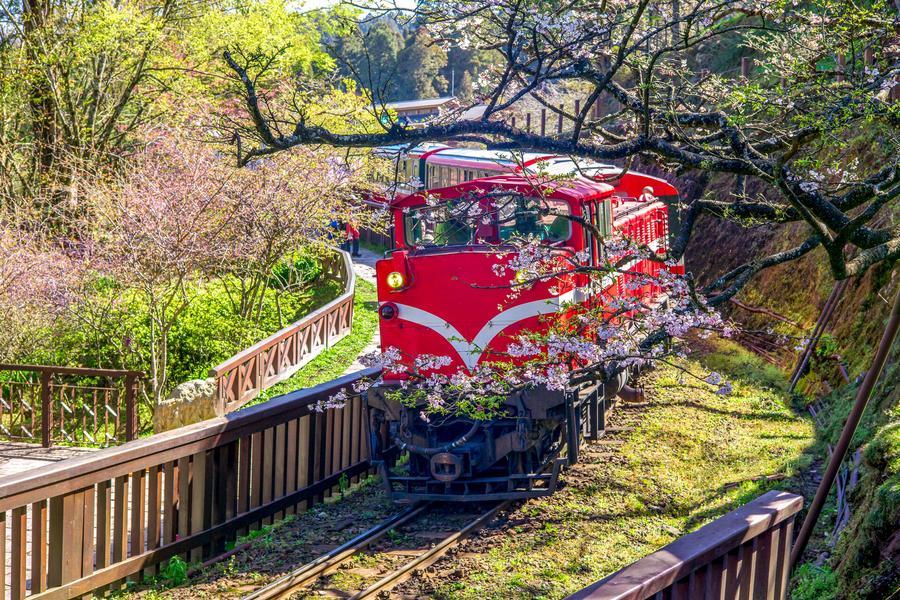 
                                                                                                        【森鐵風華】阿里山檜香森林雲海日出、奮起湖老街、日式檜意森活村高鐵三日
                                                                                                        