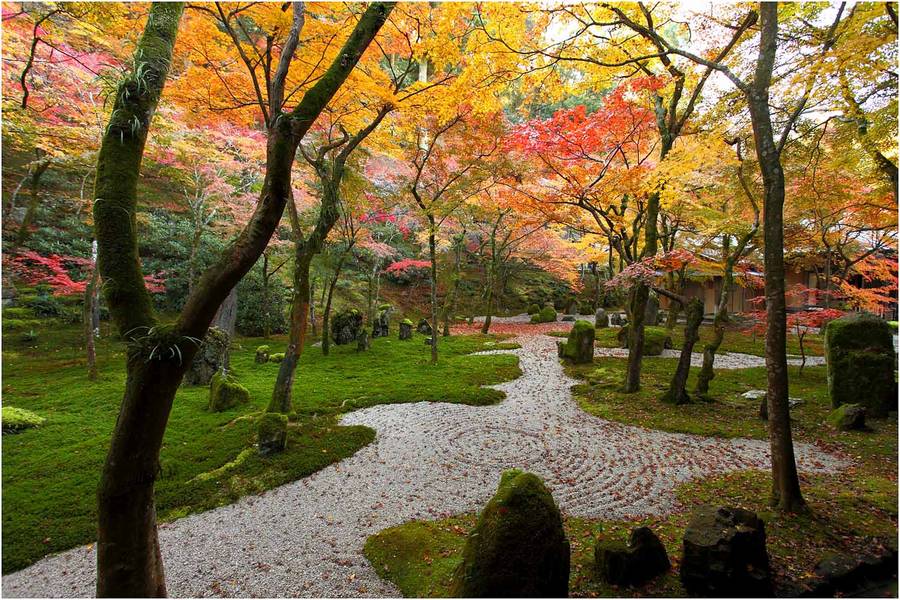 秋賞歐堡 光明禪寺 御船山樂園 秋月城 耶馬溪 天空步道 湯布院5日 國外團體旅遊 東南旅遊網