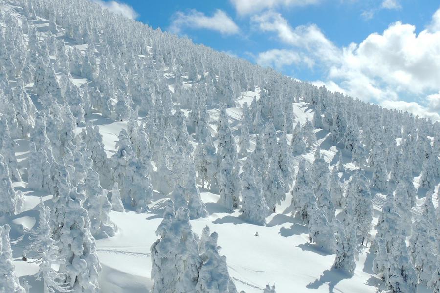 
                                                                                                        精選｜五星東北●藏王樹冰～銀山溫泉．合掌村．狐狸村．採果戲雪．溫泉7日
                                                                                                        