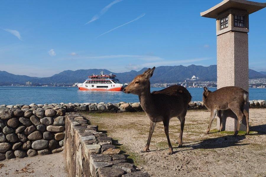 行程特色圖片
