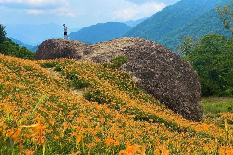 
                                                                                                        【高鐵x環島之星】花蓮赤科金針山。太魯閣二日豐富行
                                                                                                        