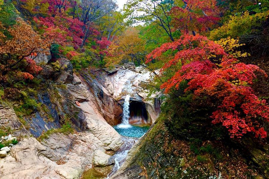 
                                                                        【迷戀雪嶽山】正東津海洋列車、山湖水纜車、清水堂網美咖啡、韓服體驗5日
                                                                        