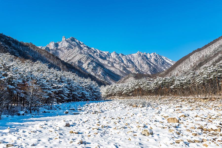 
                                                                                                        【二晚四星】迷戀雪嶽山～正東津海洋列車、美拍咖啡廳、三岳山湖水纜車5日
                                                                                                        