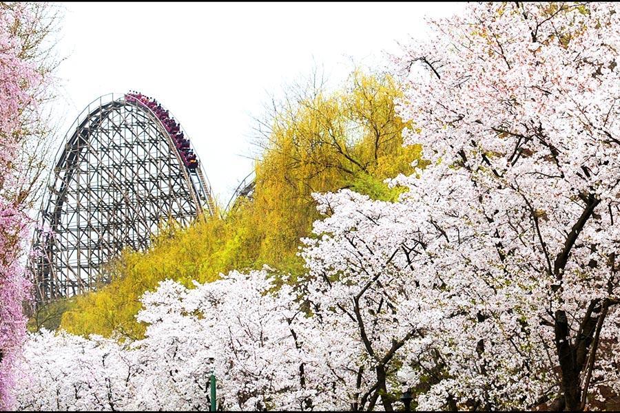 
                                                                        【升等明洞5日】愛寶樂園、跑跑卡丁車、聖水洞、韓服遊北村、自由活動
                                                                        