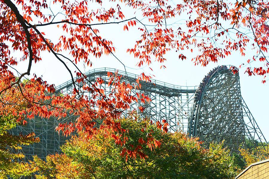 
                                                                        【升等明洞】花現愛寶樂園、跑跑卡丁車、聖水洞、韓服遊北村、自由活動5日
                                                                        