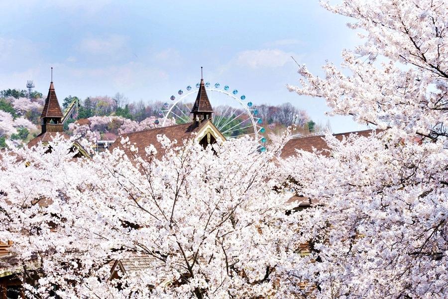 
                                                                        【升等明洞】花現愛寶樂園、跑跑卡丁車、聖水洞、韓服遊北村、自由活動5日
                                                                        