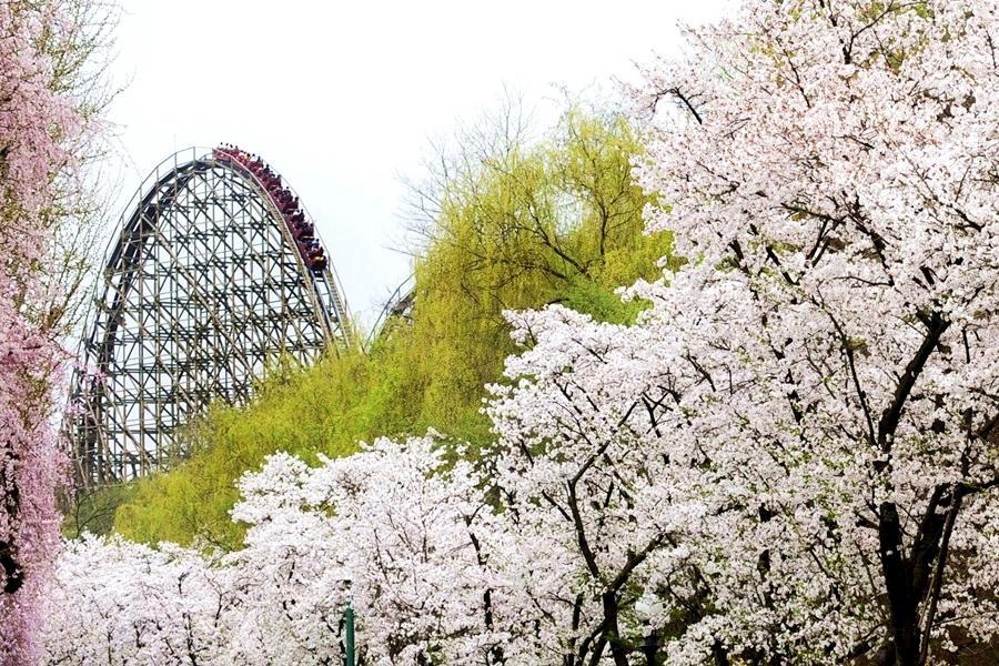 
                                                                                                        【繽紛韓國】升等明洞、愛寶白雪樂園、星光庭院、變裝遊古宮、現代百貨5日
                                                                                                        