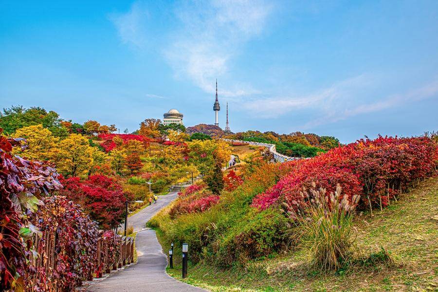 
                                                                        【二晚市區】歡樂愛寶樂園&野生動物園、跑跑卡丁車、小威尼斯、明洞5日
                                                                        