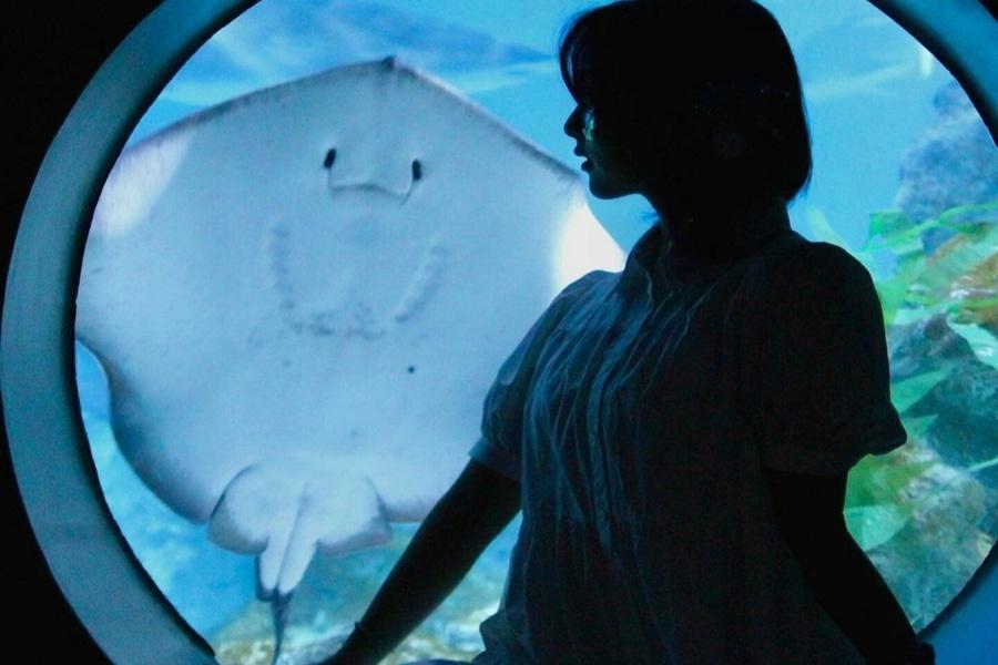 
                                                                                                        【二晚市區】韓式炸雞體驗、愛寶樂園、美人魚秀、韓服遊古宅5日
                                                                                                        