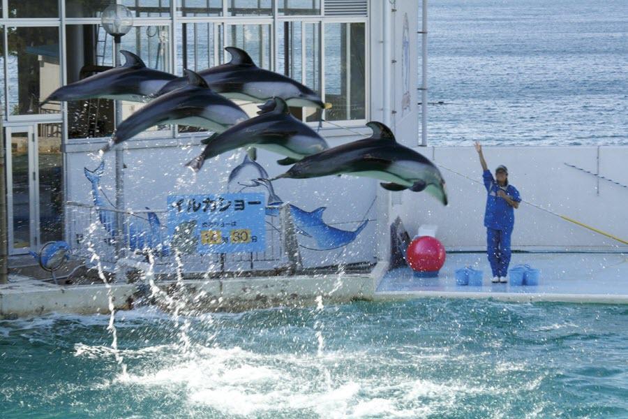 行程特色圖片