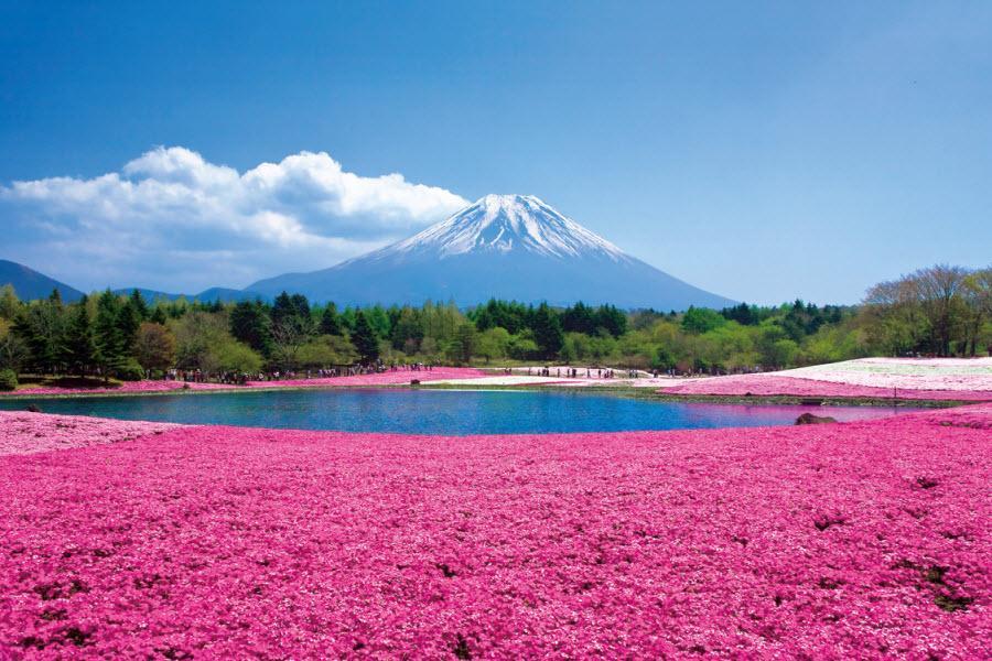 
                                                                        精選｜立山雪牆x夢幻花海巡禮～輕井澤、白川合掌村、上高地、和牛溫泉7日
                                                                        