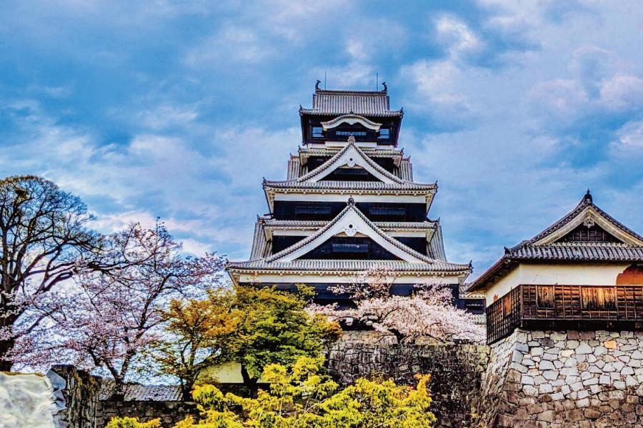 
                                                                                                        熊本城
                                                                                                        