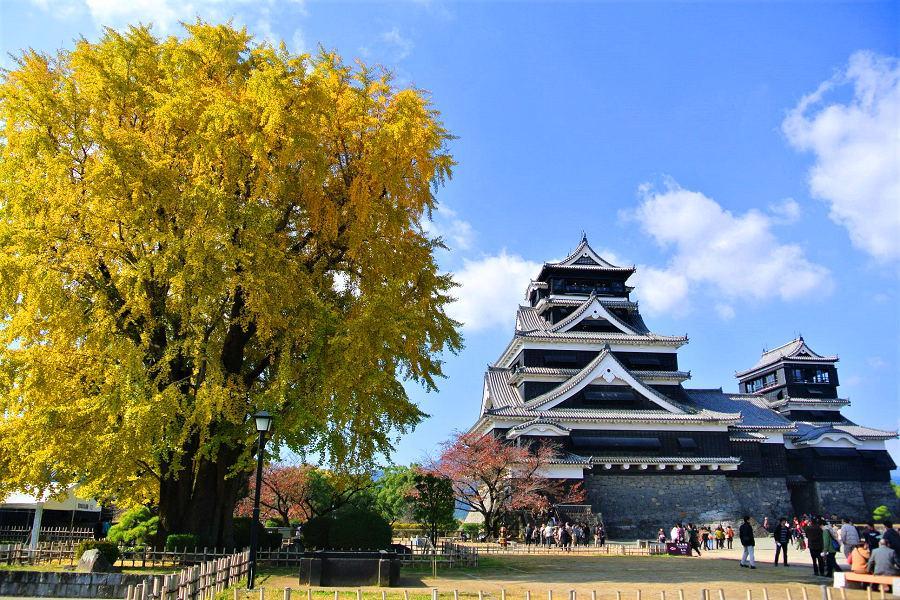 
                                                                                                        熊本城
                                                                                                        