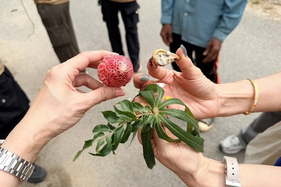 行程特色圖片