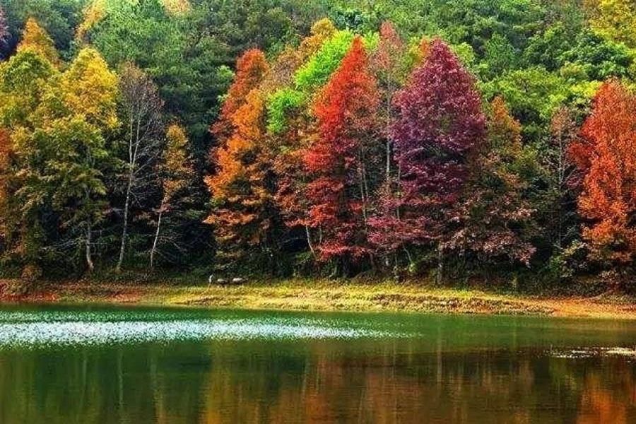 紅楓湖風景區