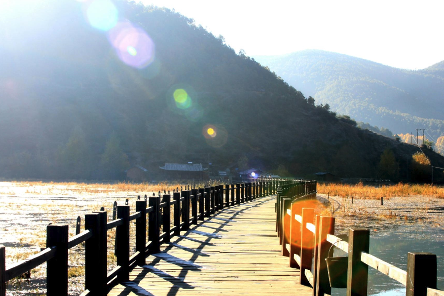 走婚橋