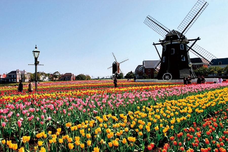 
                                                                        【精選北九州熊本】豪斯登堡．九十九島遊覧船．長崎斜坡車．高千穗峽６日
                                                                        